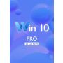 Win 10 Pro - 50 keys 