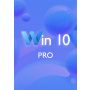 Win 10 Pro (32/64 Bit)