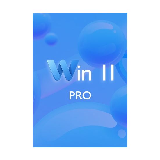 MS Win 11 Pro CD-KEY