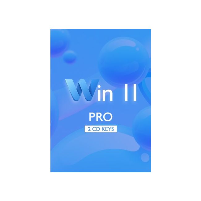Win 11 Pro - 2 CDKeys
