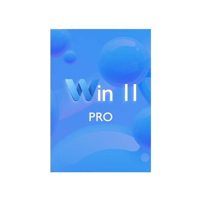 Win 11 Pro CD Key